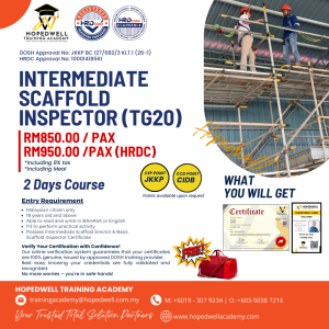 INTERMEDIATE SCAFFOLD INSPECTOR